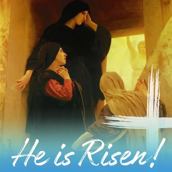 Meet your Posher, Lawrence - Picture 1 of 1